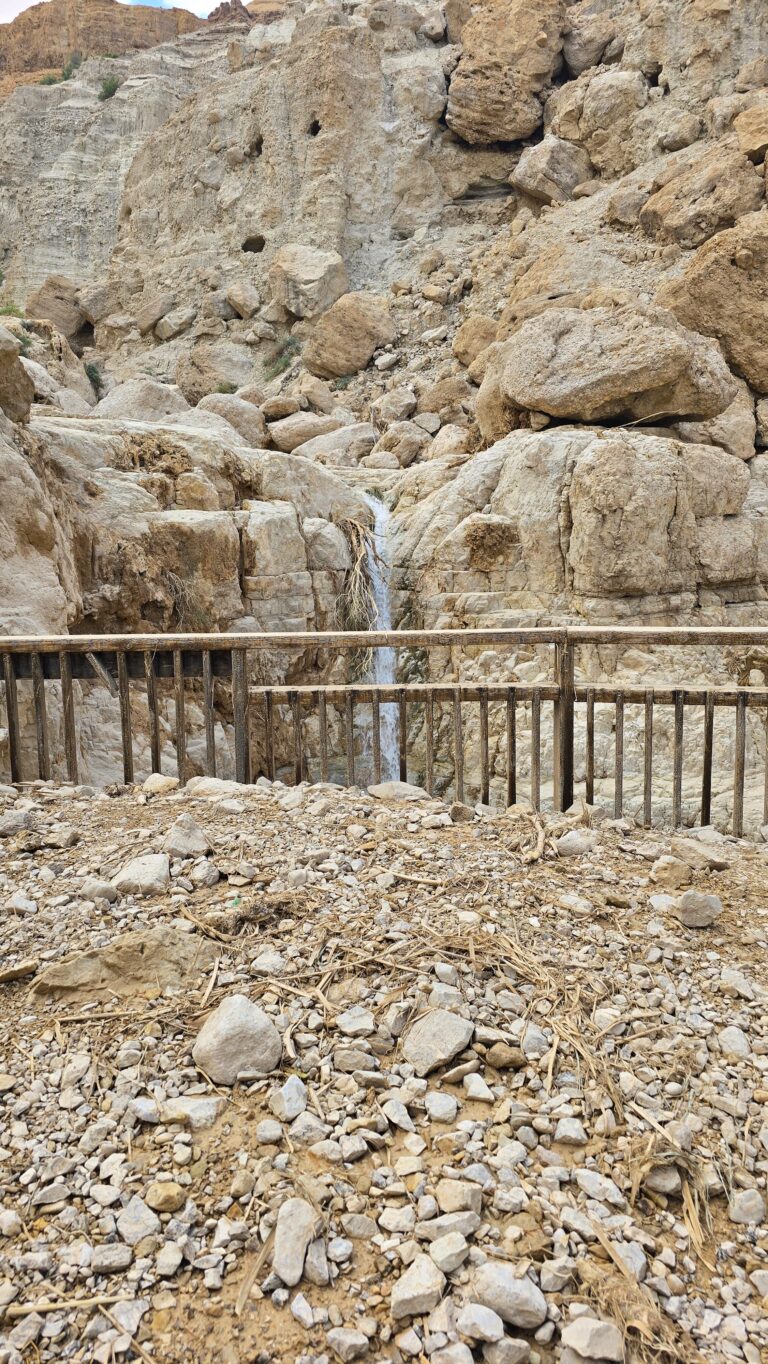 מרפסת הבריכה האולימפית אחרי השטפון